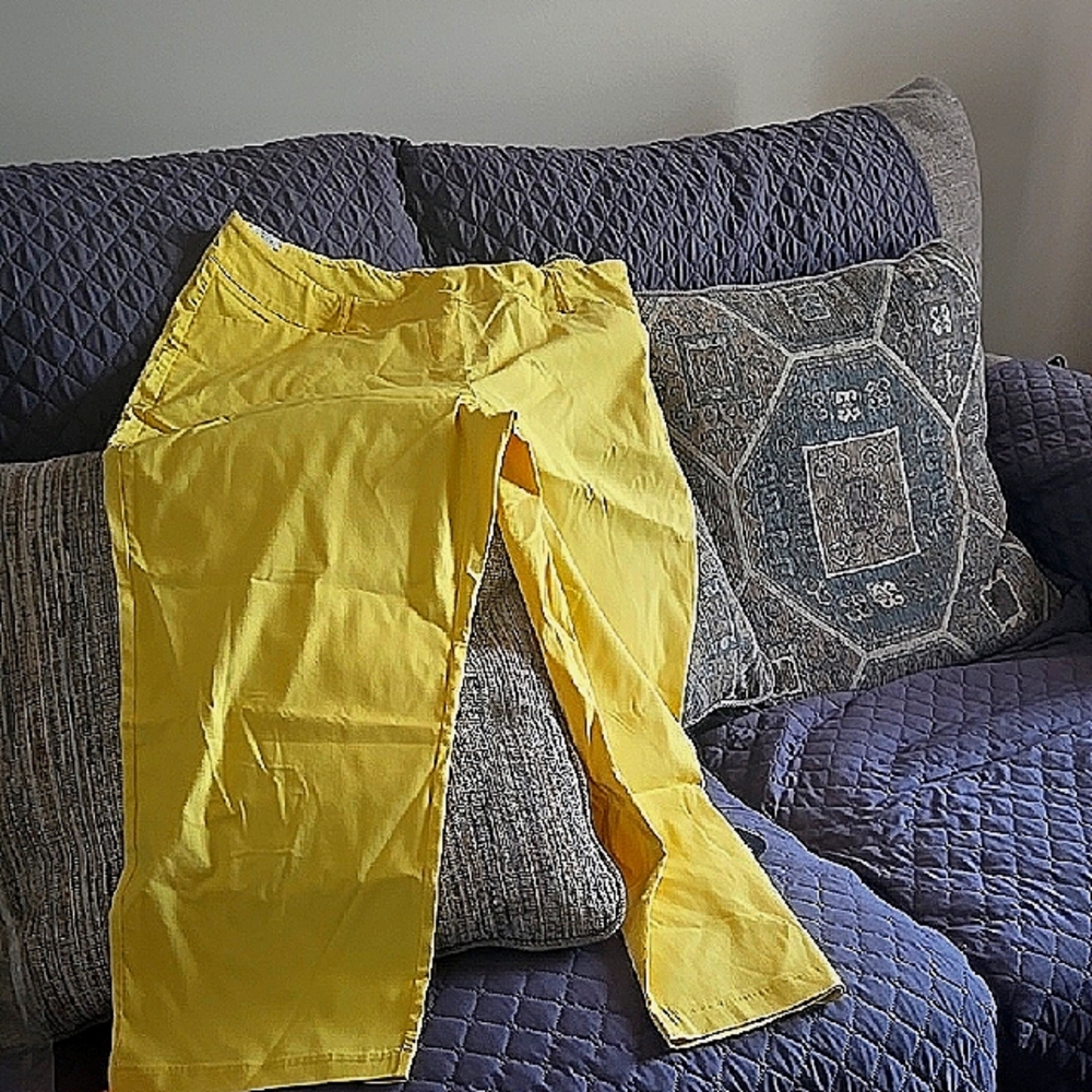 Ashley Stewart Sunny Yellow Trousers